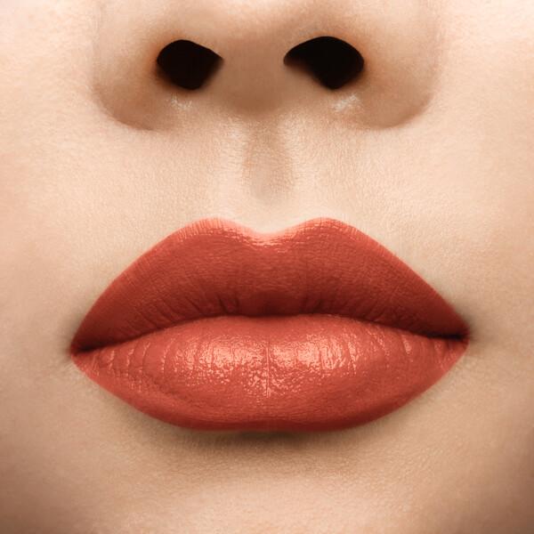 ルージュルブタン シルキーサテン オンザゴー image number 3