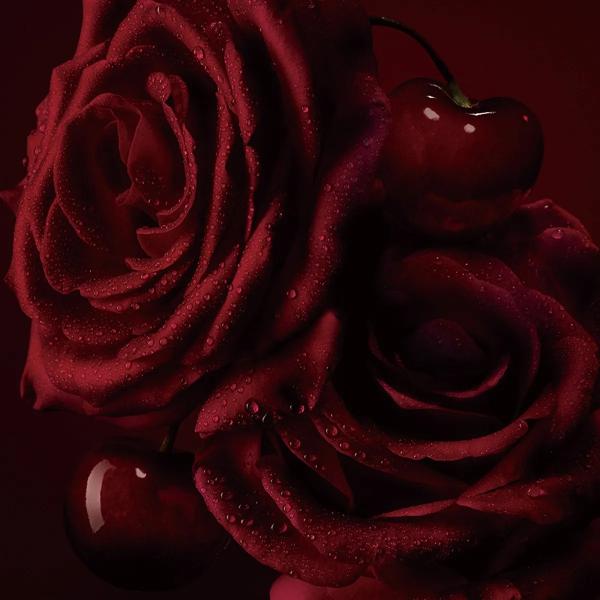 Rose F&eacute;tiche image number 3