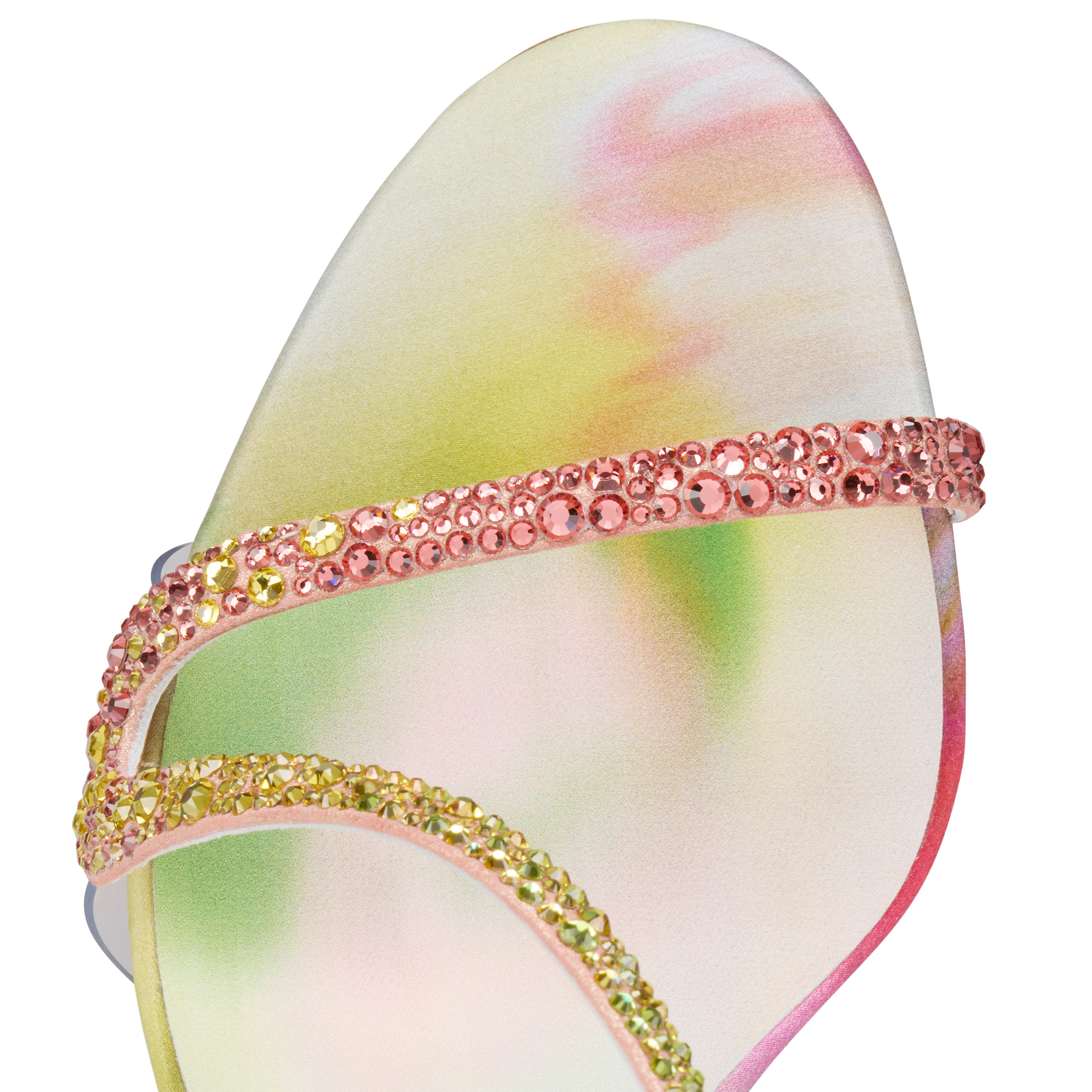 Rosa Z Strass Botanica image number 6
