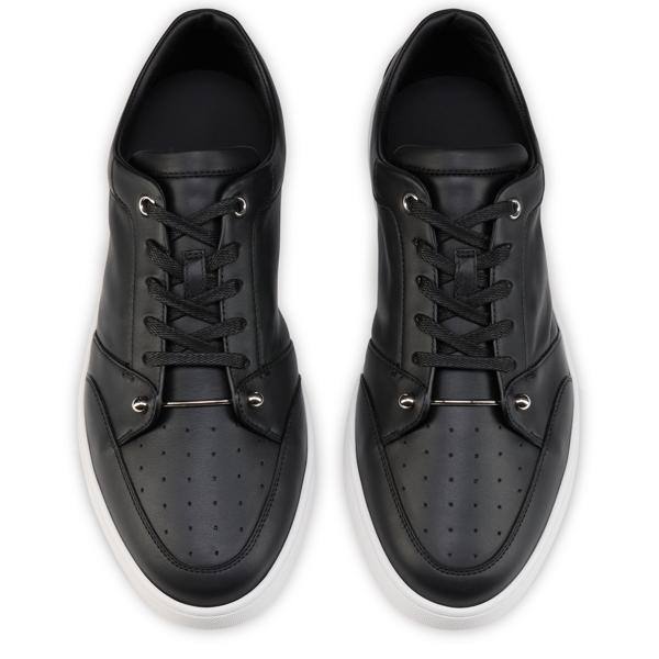 Chambelisneak image number 4