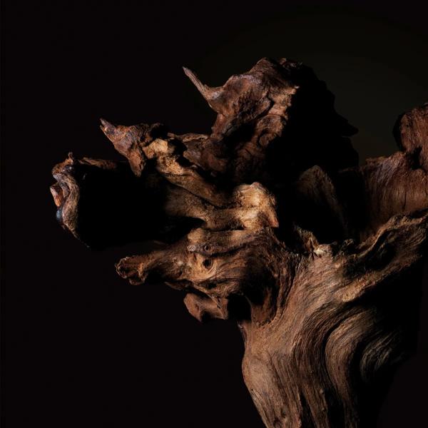 ウードフェティッシ image number 3