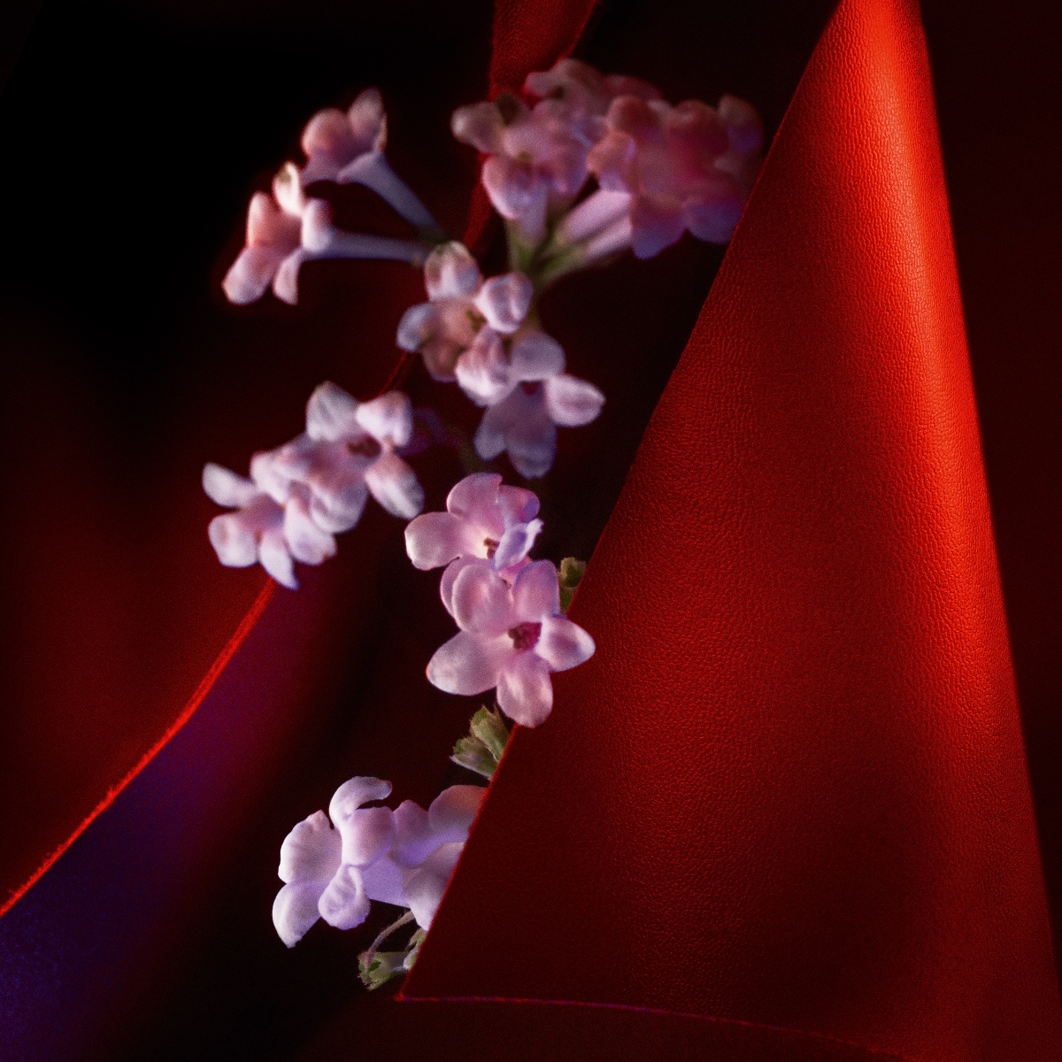 Cuir F&eacute;tiche image number 3