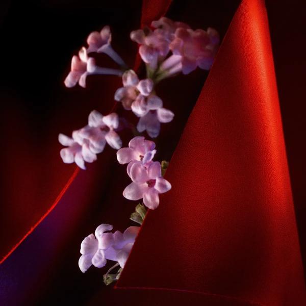 Cuir F&eacute;tiche image number 3