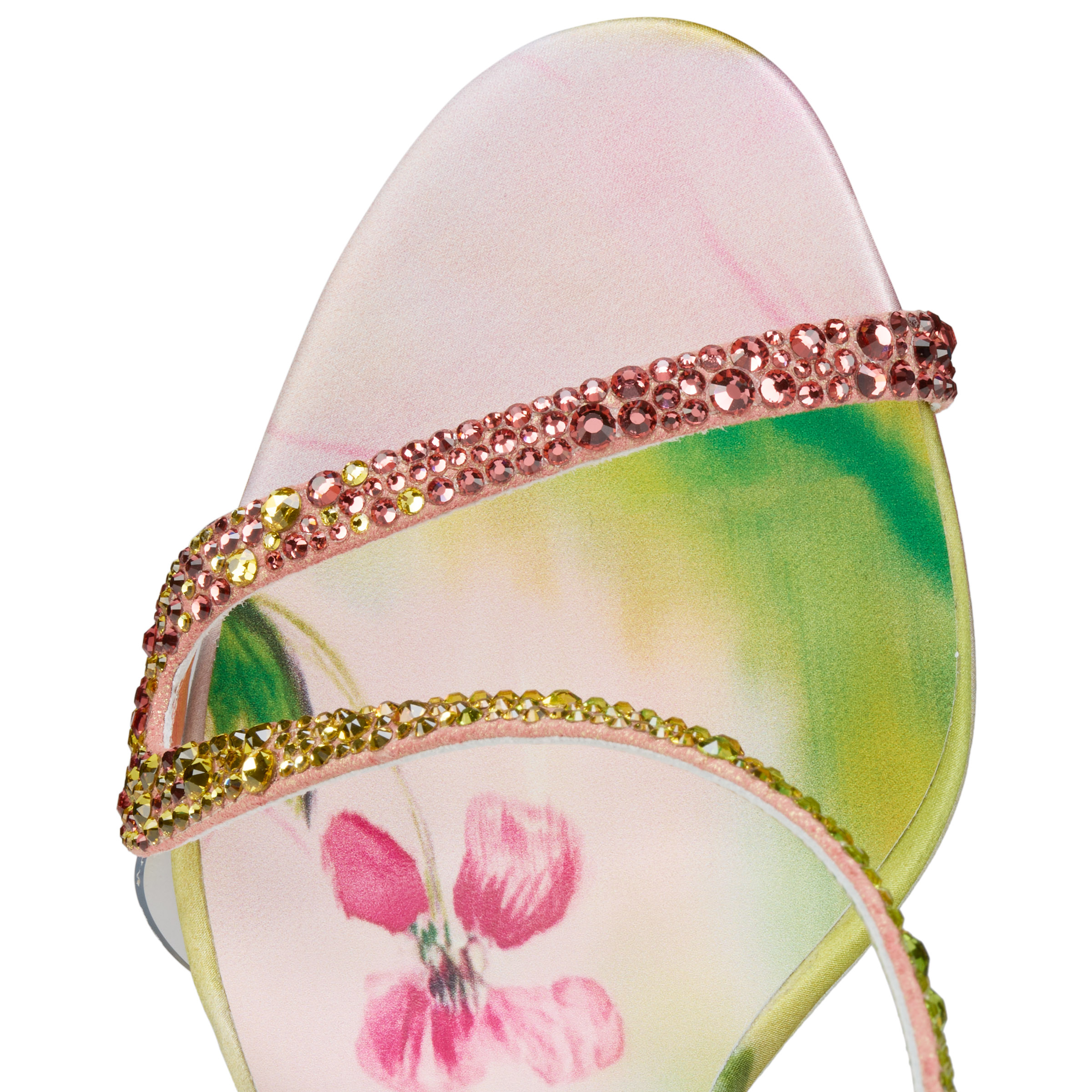 Rosalie Alta Strass Botanica image number 6