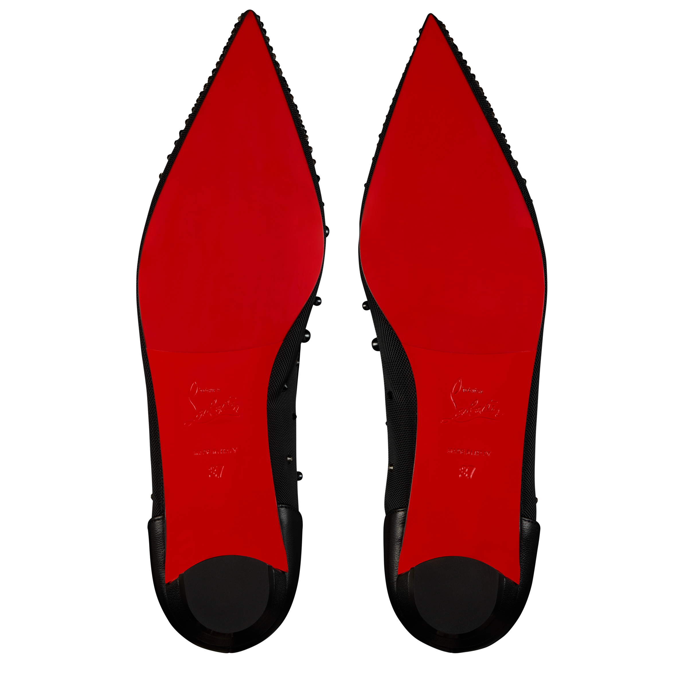 Miss Z Degrastrassina Perla image number 6