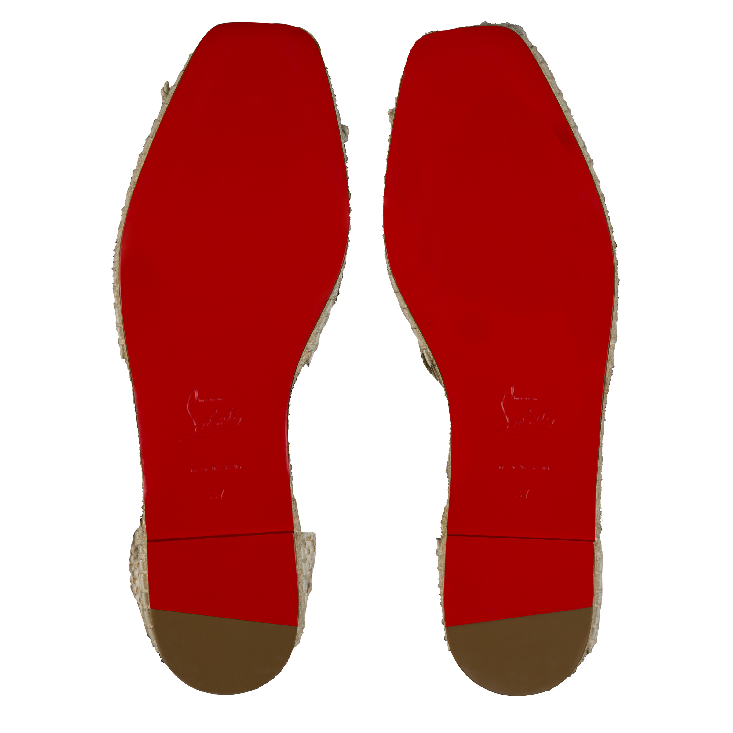 Cassiadrilla image number 5