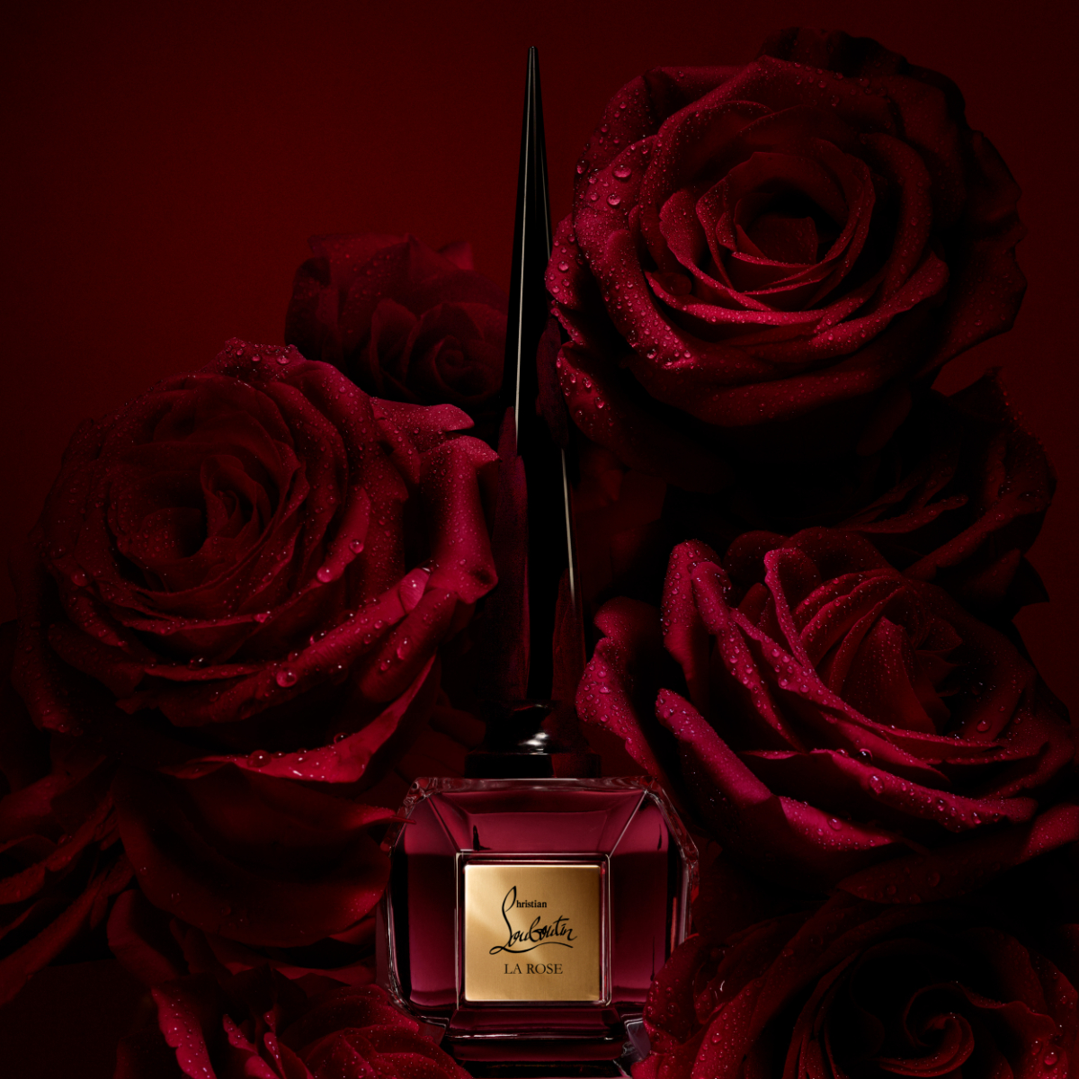 Rose F&eacute;tiche image number 2