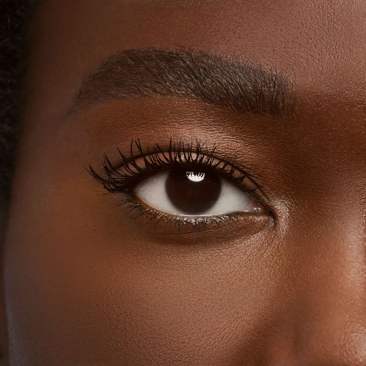 Les Yeux Noirs Volumaxima image number 5