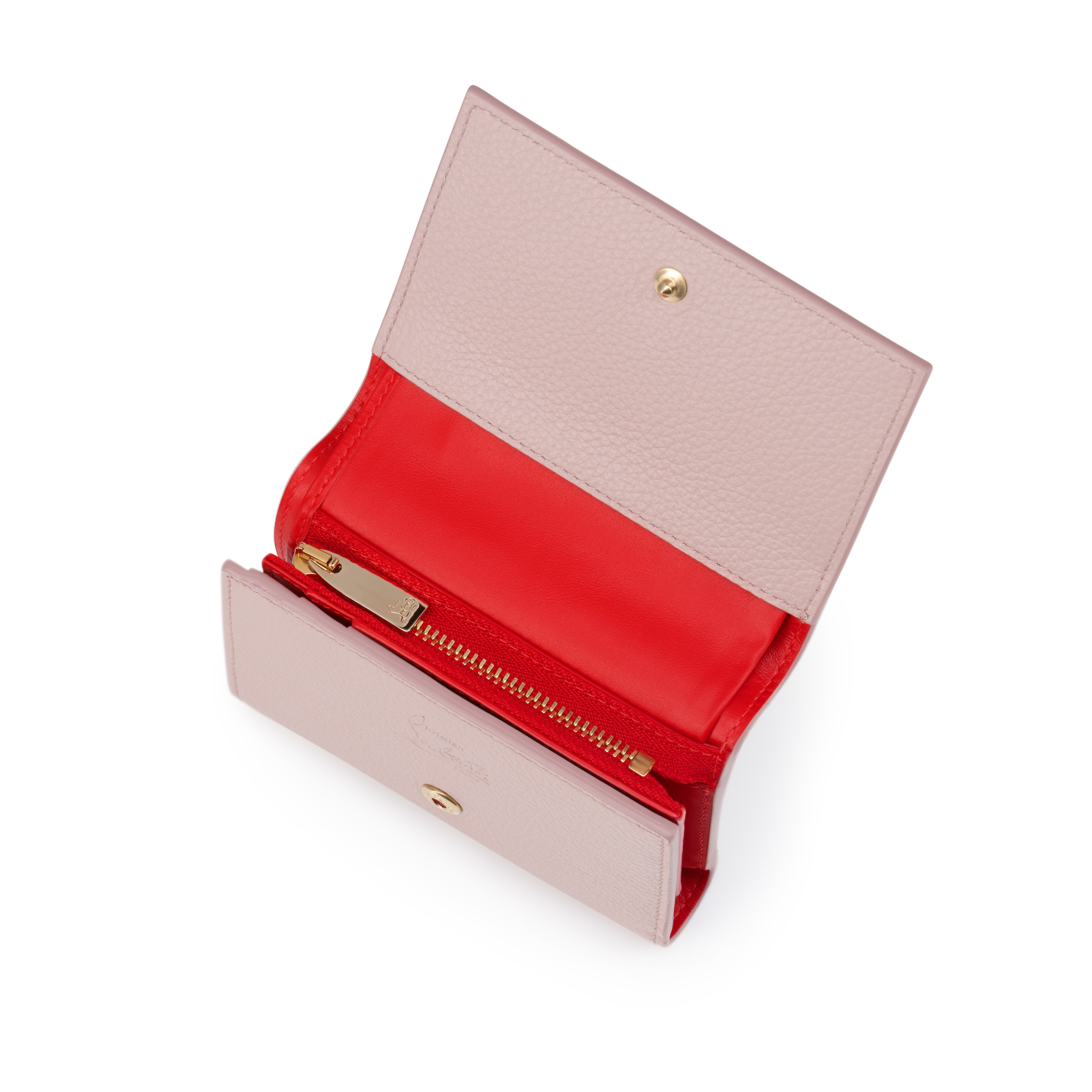 Paloma image number 3