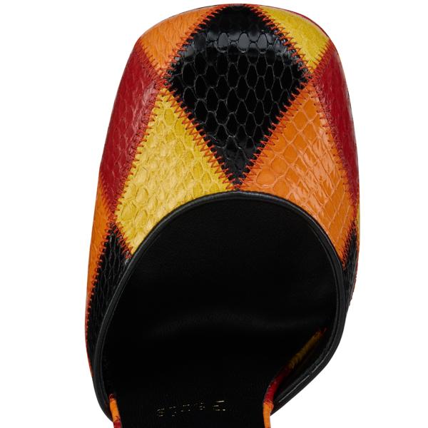 Aquadorcet image number 6